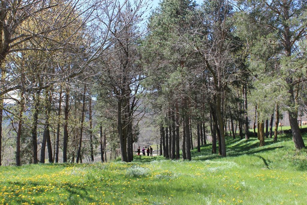 Casa De Colonies Vall De Boi - Verge Blanca Llesp Luaran gambar
